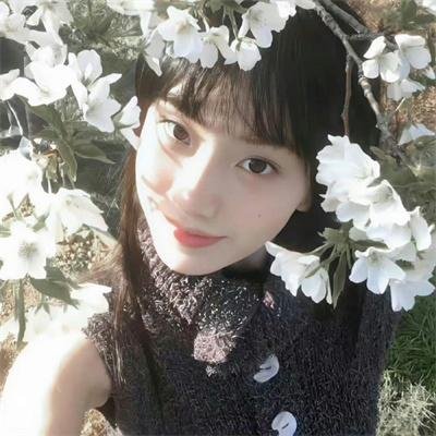 血树 在线观看